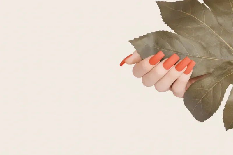 สีเล็บเจล