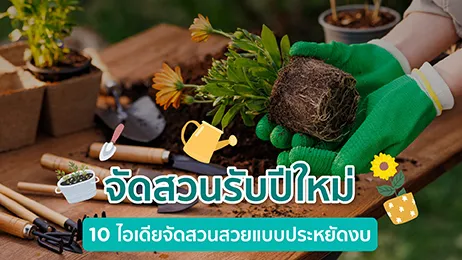 จัดสวนรับปีใหม่ 10 ไอเดียจัดสวนสวยแบบประหยัดงบ