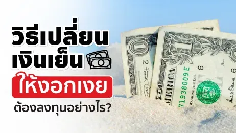 เงินเย็นคืออะไร ลงทุนแบบไหนให้งอกเงย? รวมเทคนิคฉบับ 2024