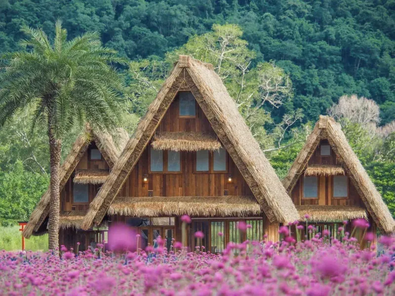 ที่เที่ยวเขาใหญ่ 2567 ที่เที่ยวเขาใหญ่ 2567