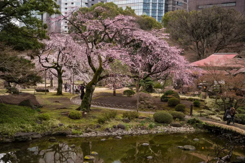 สวนโคอิชิคาวะ คาราคุเอน สวนโคอิชิคาวะ คาราคุเอน