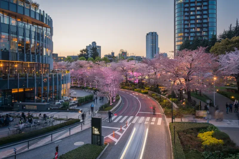 โตเกียว มิดทาวน์ โตเกียว มิดทาวน์