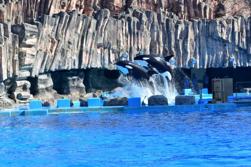 ที่เที่ยวนาโกย่า