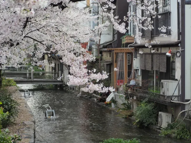 แม่น้ำทาคาเสะ