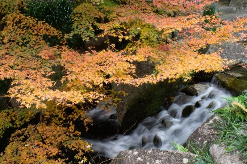 ที่เที่ยวนาโกย่า