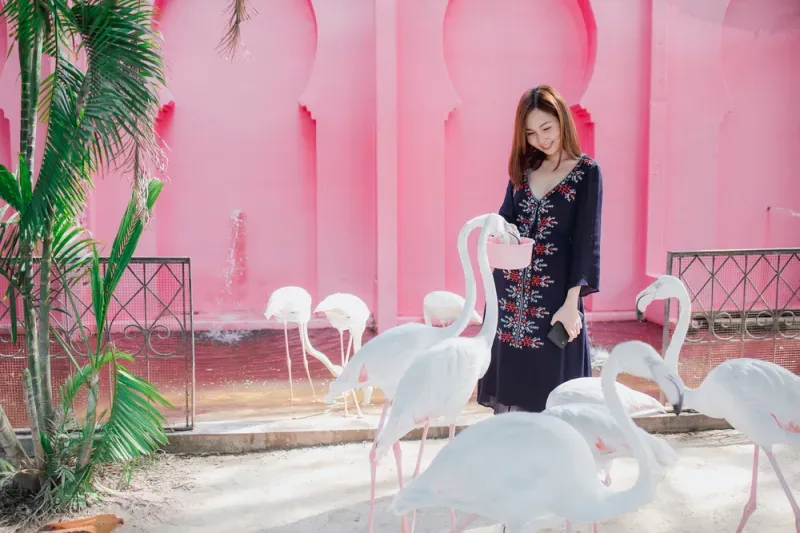 ที่เที่ยวชะอำ