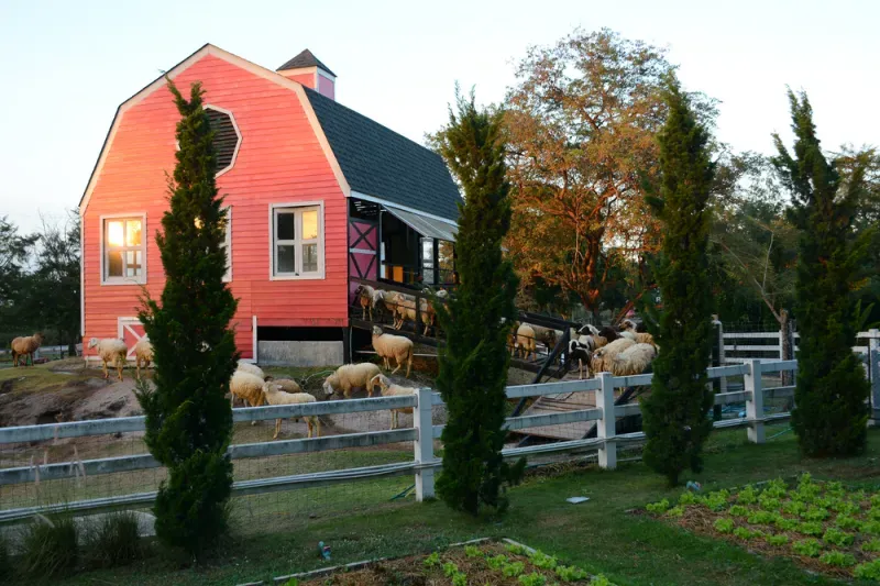 ที่เที่ยวเขาใหญ่ 2567 ที่เที่ยวเขาใหญ่ 2567