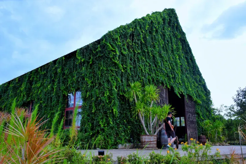 ที่เที่ยวเขาใหญ่ 2567 ที่เที่ยวเขาใหญ่ 2567