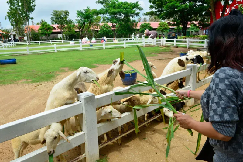 หาดเจ้าสําราญ 