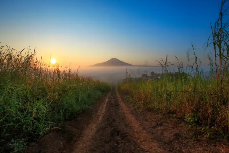 ภูทับเบิก ภูทับเบิก