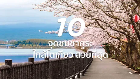 ซากุระ โตเกียว