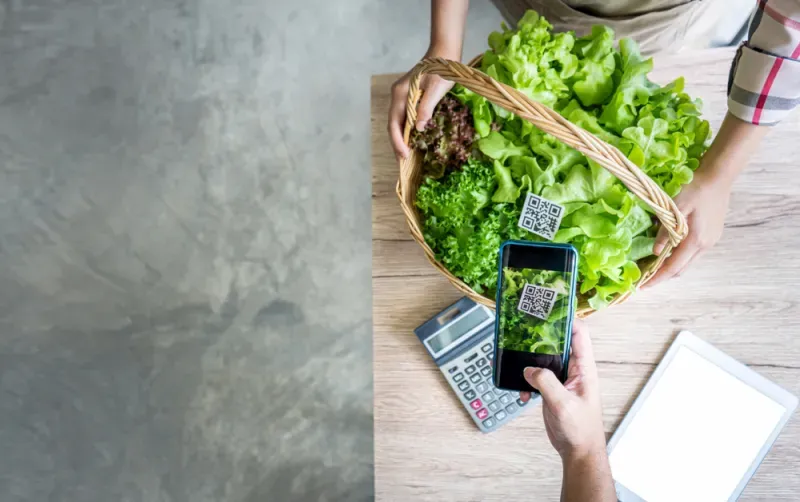 สังคมไร้เงินสด