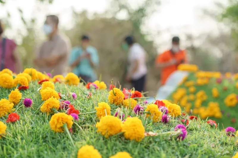 เช็งเม้ง 2567