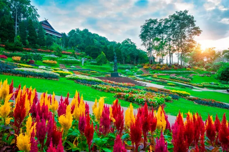 สวนแม่ฟ้าหลวง