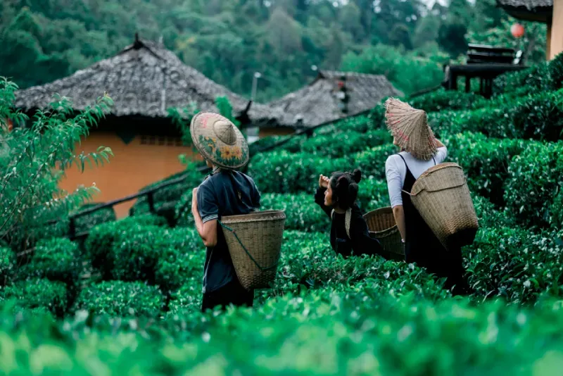 ปางอุ๋ง