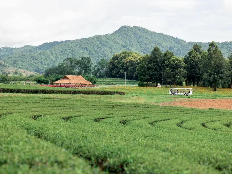 สิงห์ปาร์ก