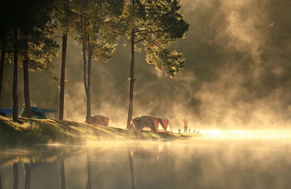 เราเที่ยวด้วยกัน 2568 คืออะไร? เราเที่ยวด้วยกัน 2568 คืออะไร?