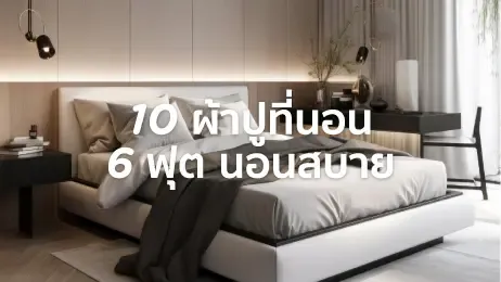 ผ้าปูที่นอน ยี่ห้อไหนดี