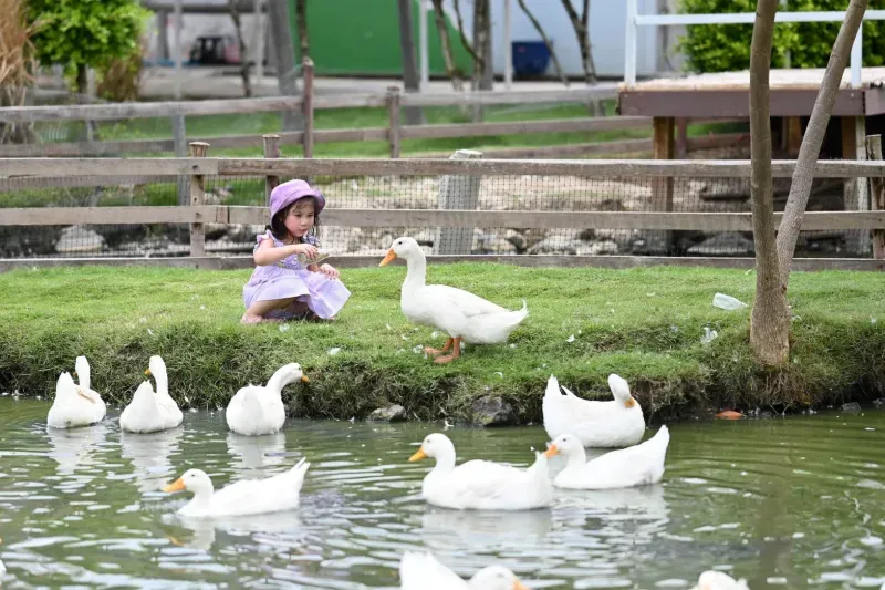 คาเฟ่สัตว์