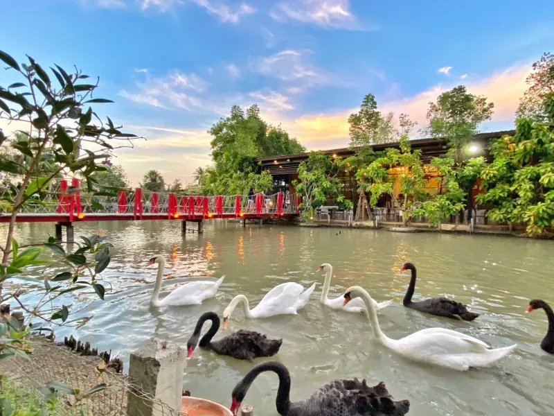 คาเฟ่สัตว์