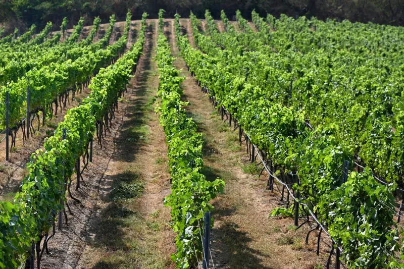 ที่เที่ยวหัวหิน