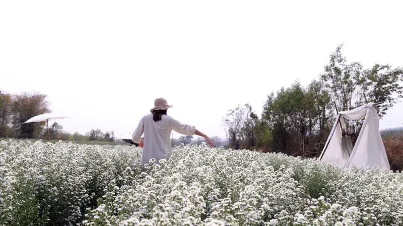 ที่เที่ยวอุดรธานี ที่เที่ยวอุดรธานี