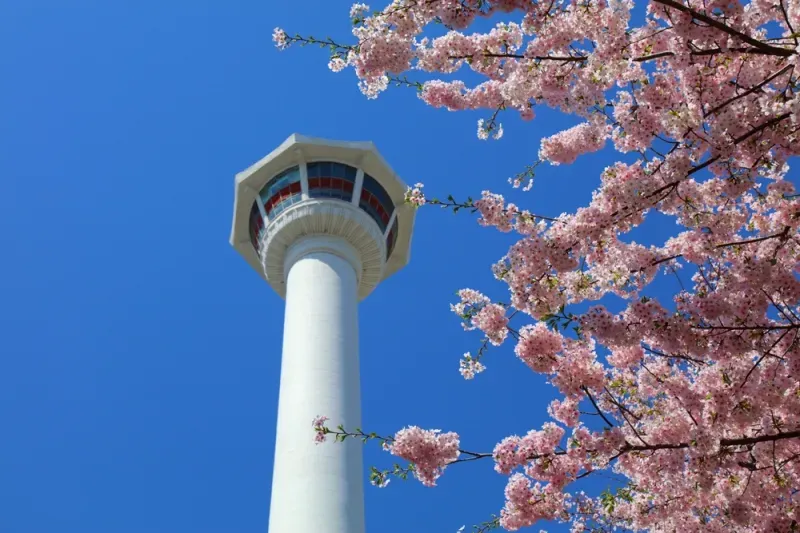 ที่เที่ยวปูซาน