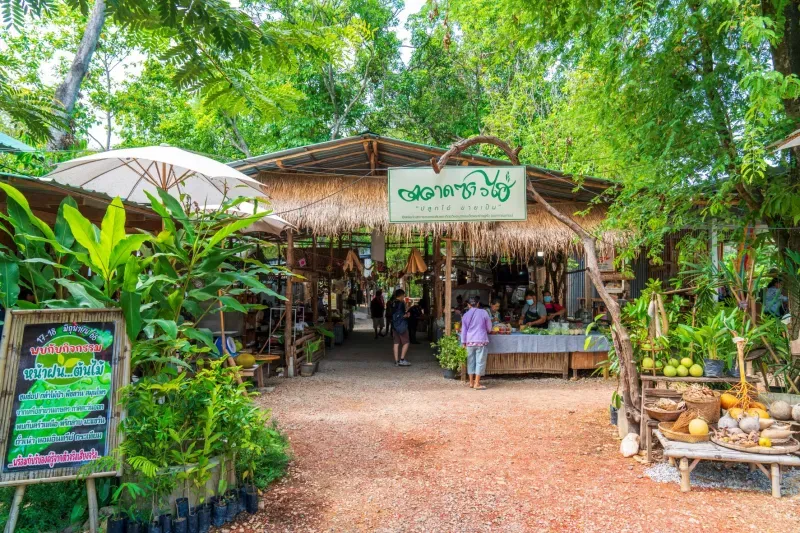 เที่ยวอุทัยธานี ไปเช้า-เย็นกลับ เที่ยวอุทัยธานี ไปเช้า-เย็นกลับ