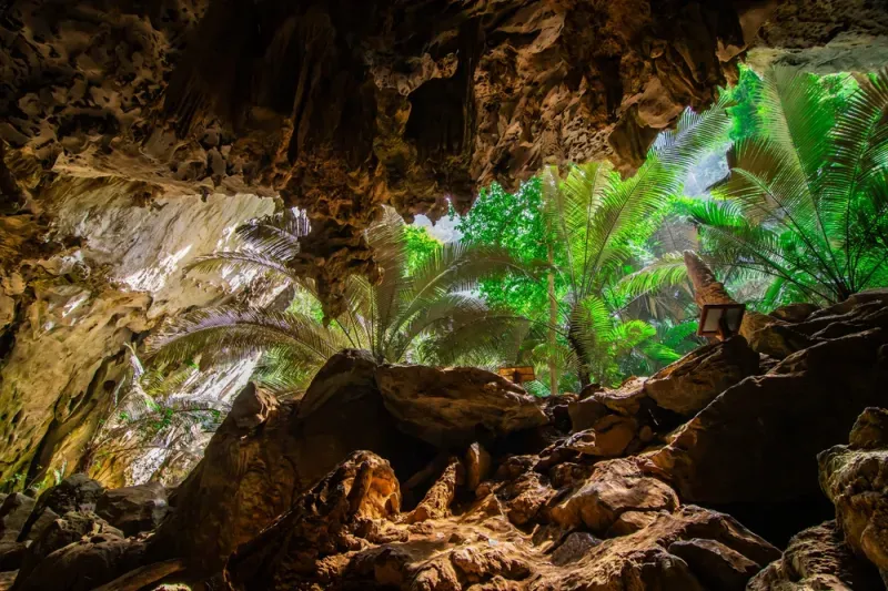 เที่ยวอุทัยธานี ไปเช้า-เย็นกลับ เที่ยวอุทัยธานี ไปเช้า-เย็นกลับ