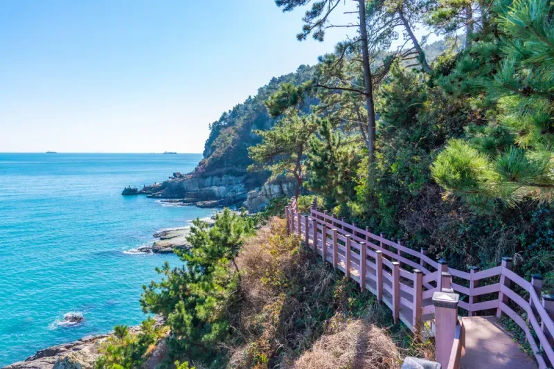 ที่เที่ยวปูซาน