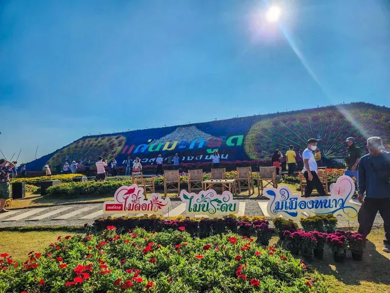 เที่ยวอุทัยธานี ไปเช้า-เย็นกลับ เที่ยวอุทัยธานี ไปเช้า-เย็นกลับ