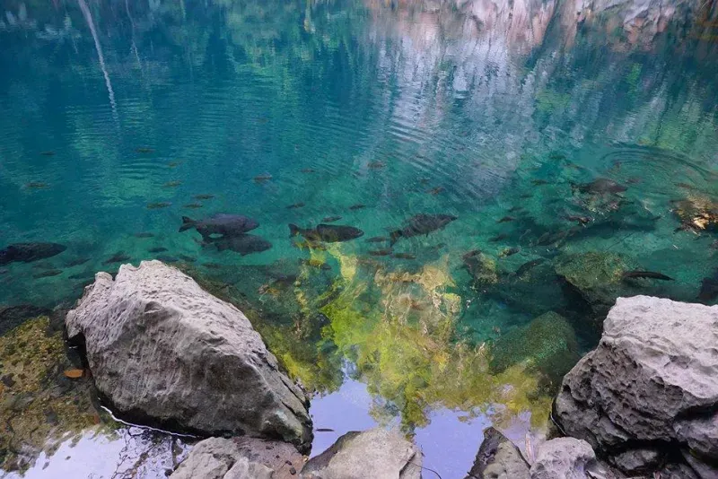 ที่เที่ยวลำปาง ที่เที่ยวลำปาง