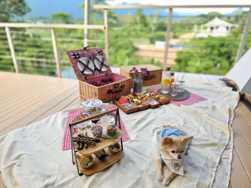 ที่พักสุนัขเข้าได้