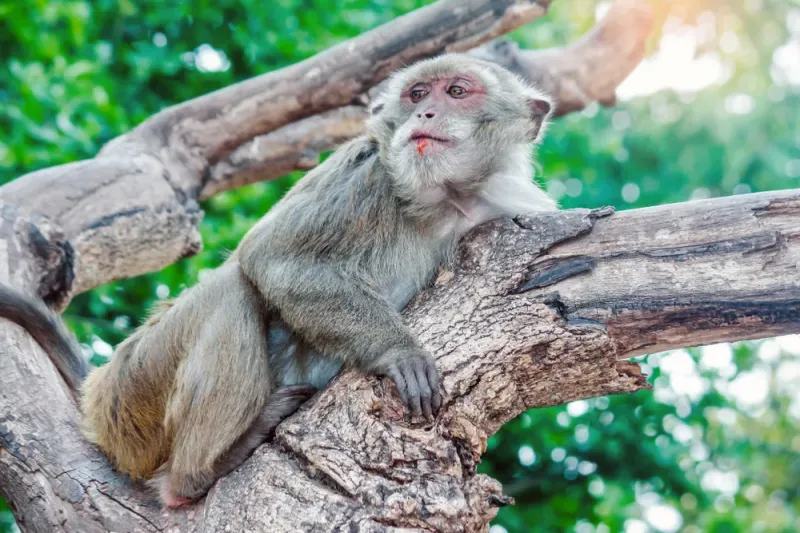 ที่เที่ยวอุดรธานี ที่เที่ยวอุดรธานี
