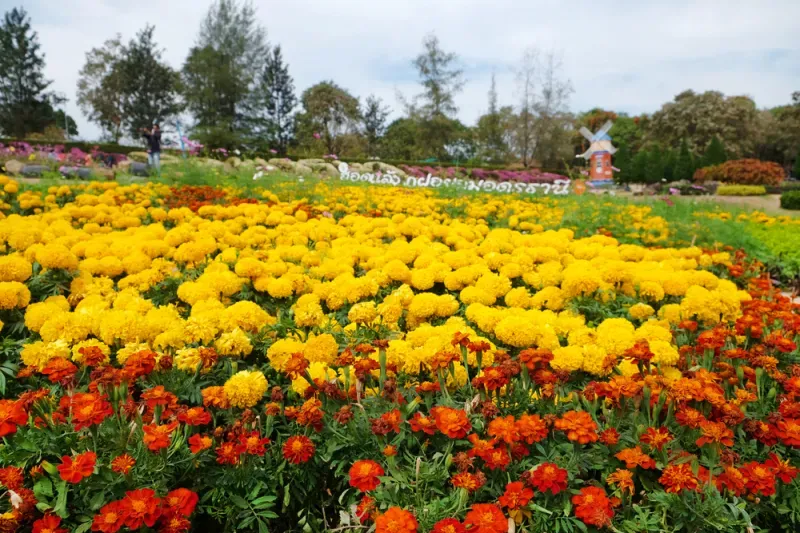 ที่เที่ยวอุดรธานี ที่เที่ยวอุดรธานี