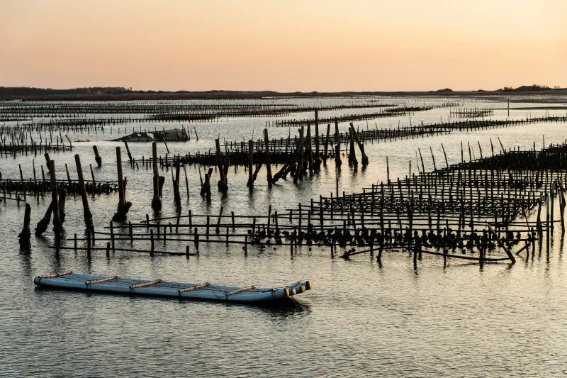 ที่เที่ยวไถหนาน เกาสง ที่เที่ยวไถหนาน เกาสง