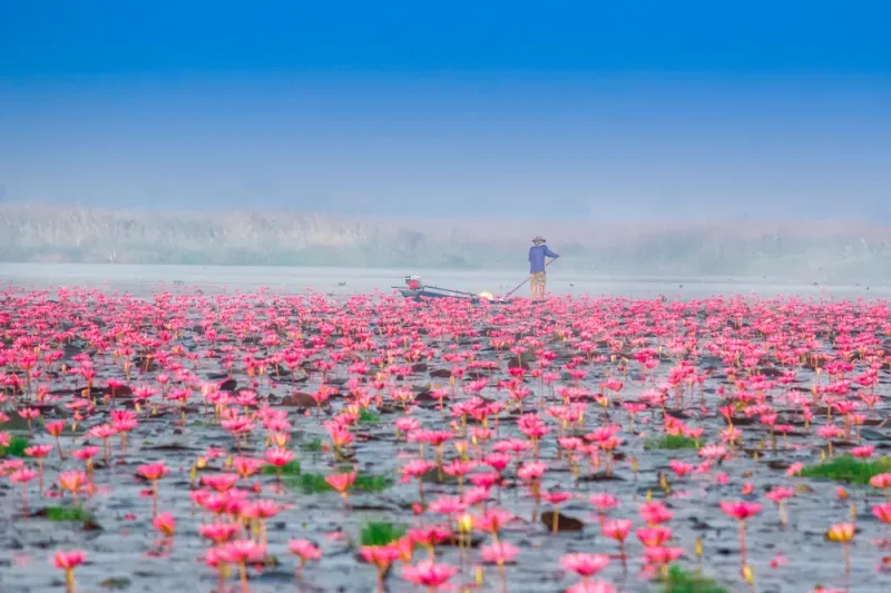 ที่เที่ยวอุดรธานี ที่เที่ยวอุดรธานี