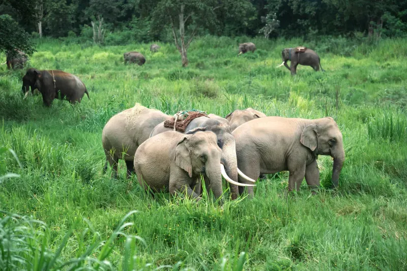 ที่เที่ยวลำปาง ที่เที่ยวลำปาง