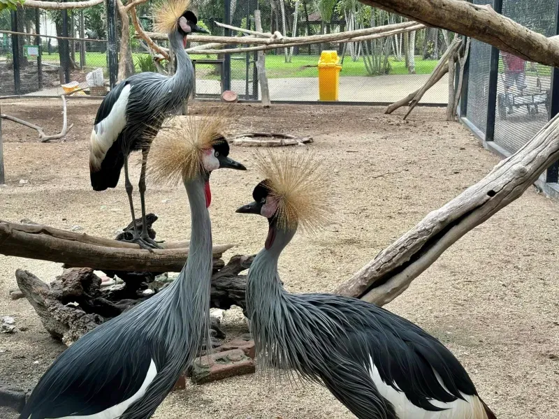 เที่ยวเมืองรอง