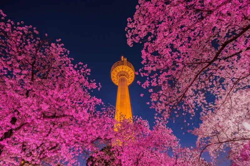 แทกู แทกู