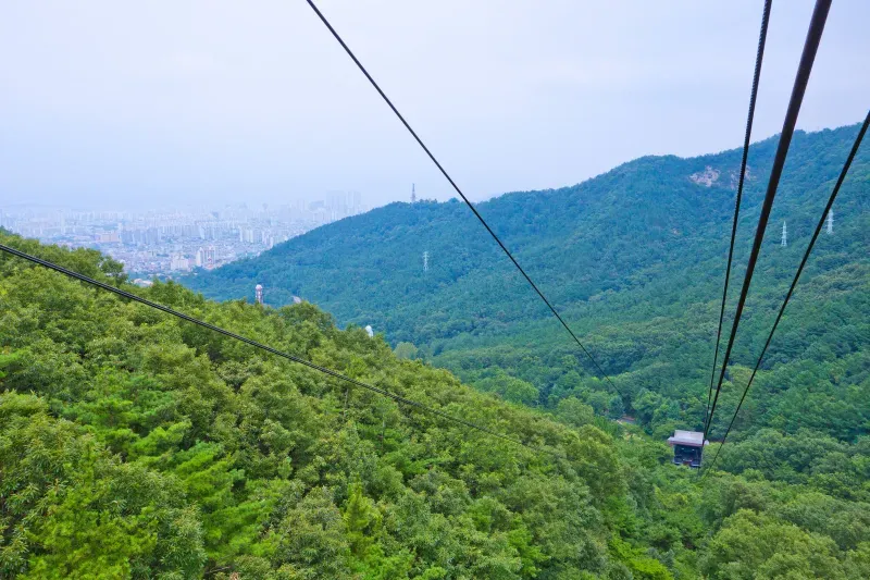 แทกู แทกู