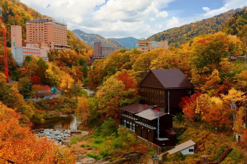 เที่ยวฮอกไกโด ใบไม้เปลี่ยนสี