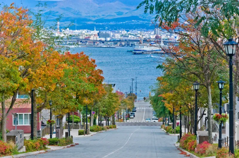 เที่ยวฮอกไกโด ใบไม้เปลี่ยนสี