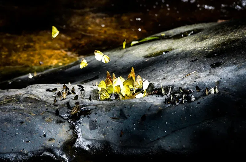 ขับรถเที่ยวใกล้กรุงเทพ ขับรถเที่ยวใกล้กรุงเทพ