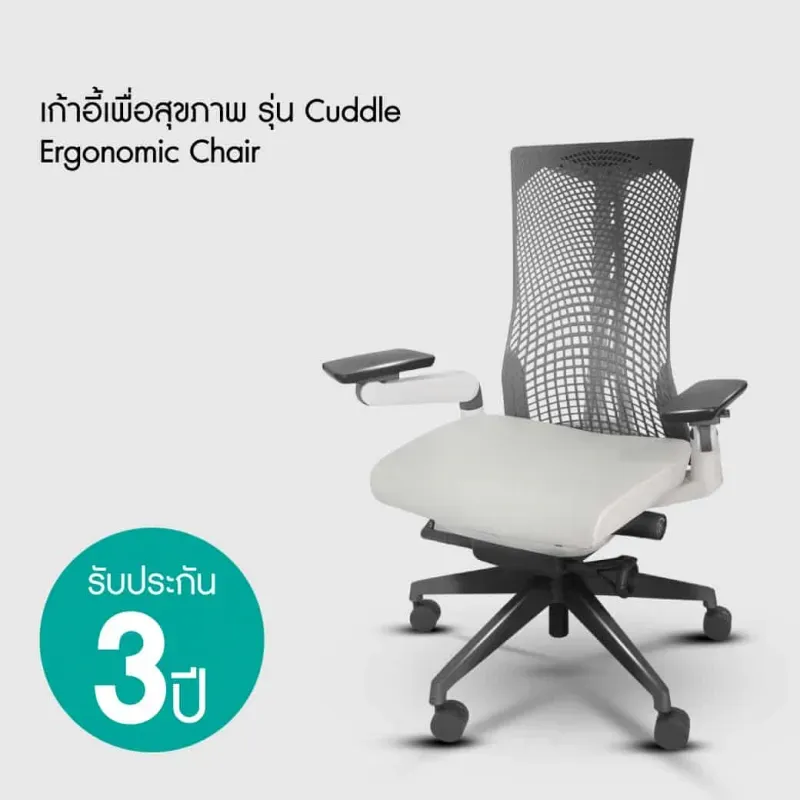 เก้าอี้สุขภาพ