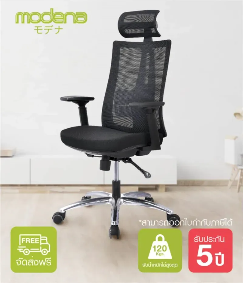 เก้าอี้สุขภาพ