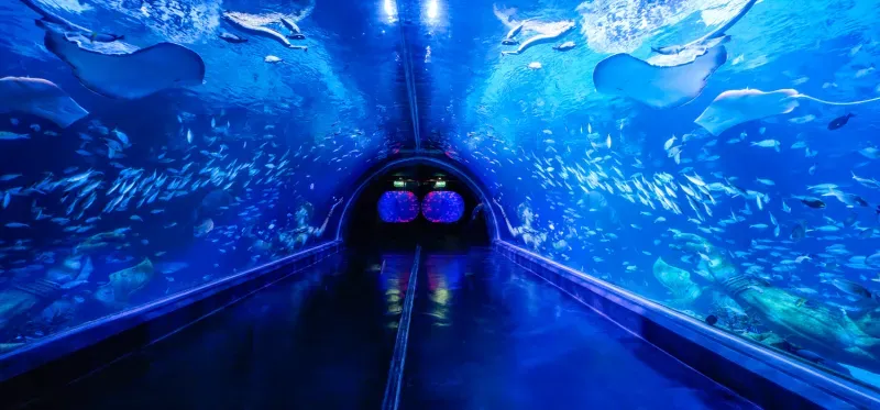 อควาเรียม ภาคใต้