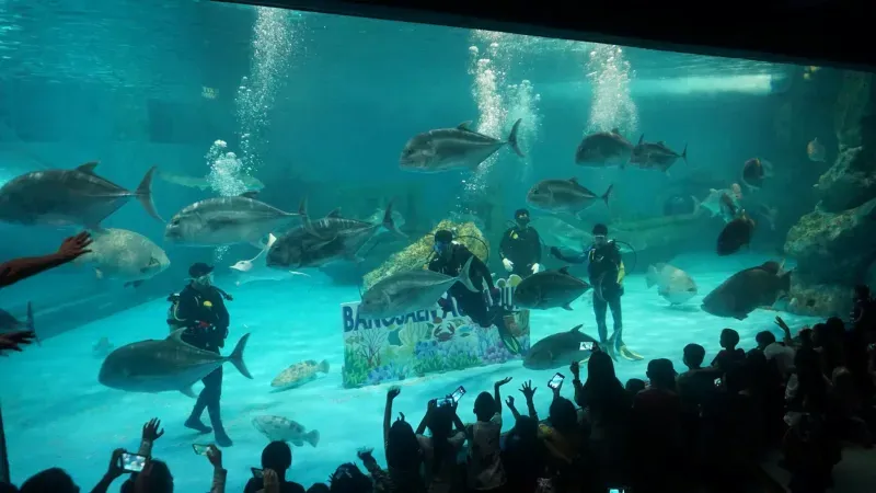 อควาเรียม บางแสน