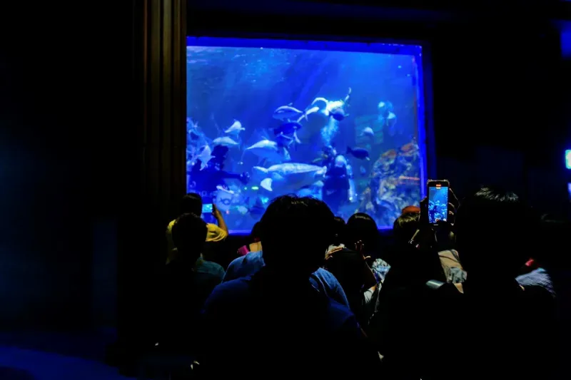 อควาเรียม