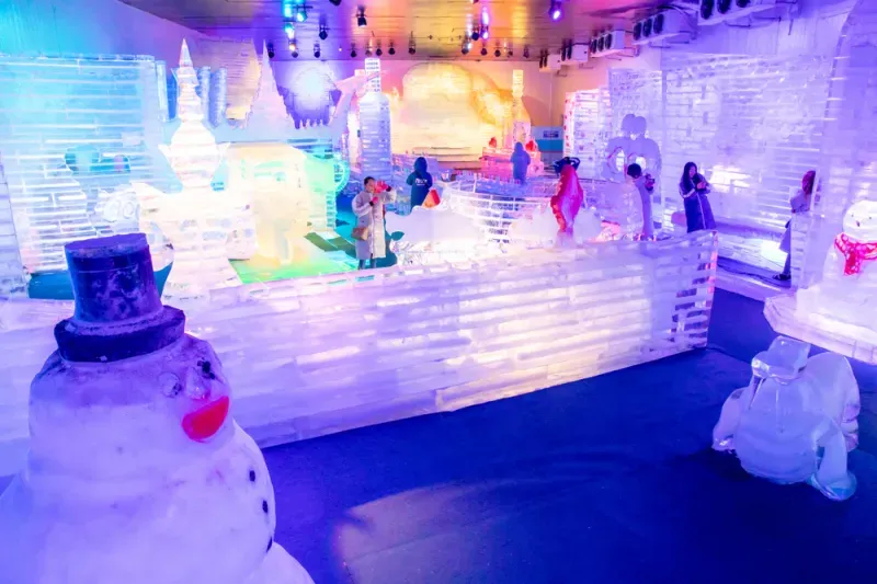 กิจกรรม พัทยา Frost Magical